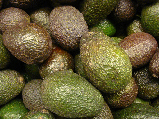 Avocados for skiers good fat and nutrients