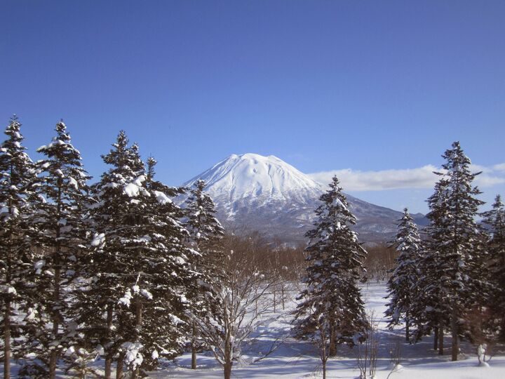 Niseko Ski Resort Japan
